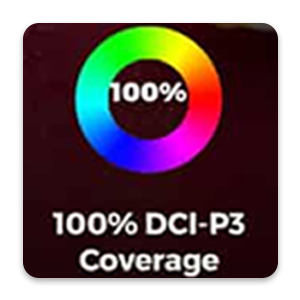 100% DCI-P3