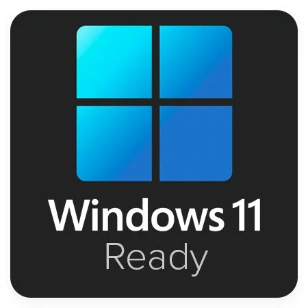 Windows 11